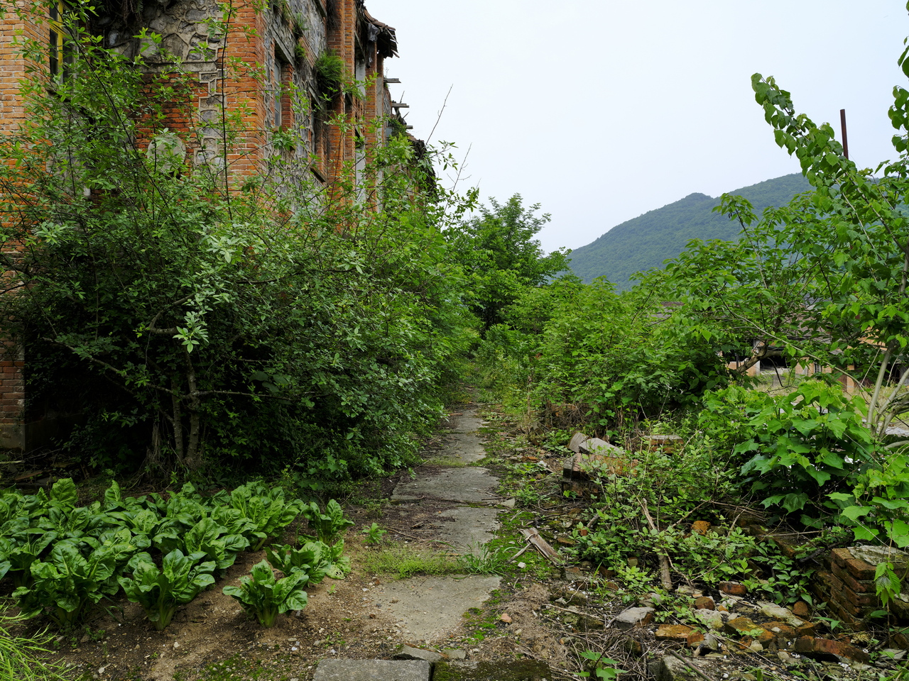 宜都717三线工厂,宜都717厂历史