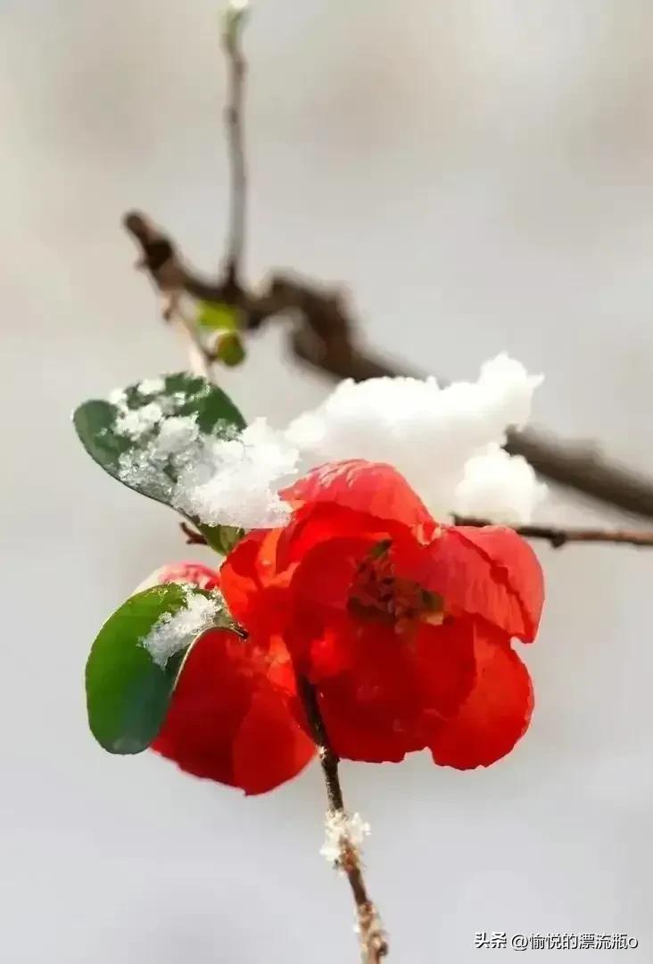 如何修补很小的衣服破洞,怎样修补衣服破洞最好