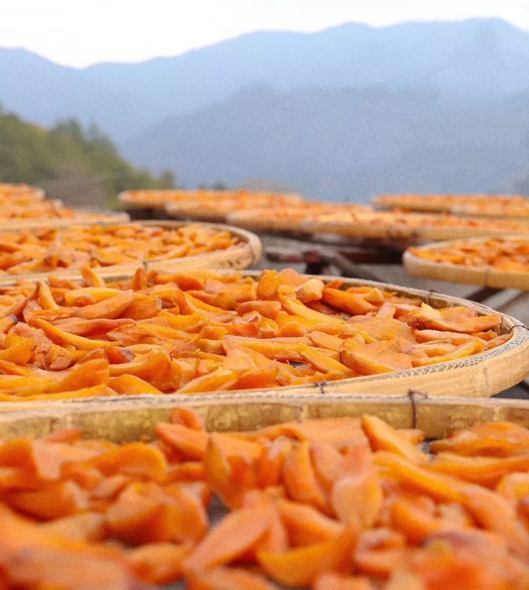 遂昌县攻略,遂昌一日游最佳攻略