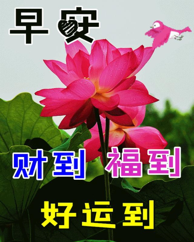 早安心语暖心句子正能量励志,早安心语正能量一句话简短图片