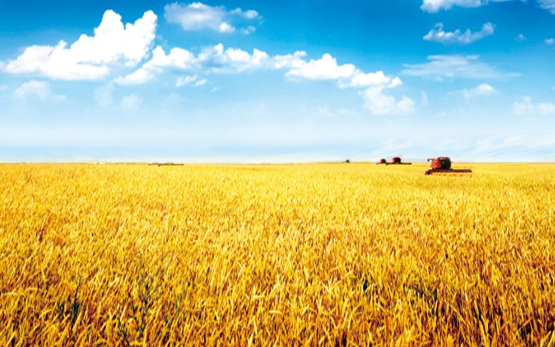 农业可持续性发展的理论与实践,农业技术创新推动农业现代化发展