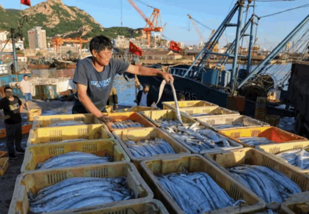 鎶ュ悕鎶栭煶鐢靛晢瀹樻柟娲诲姩濂藉,鐢宠鍔犲叆鎶栭煶鐢靛晢