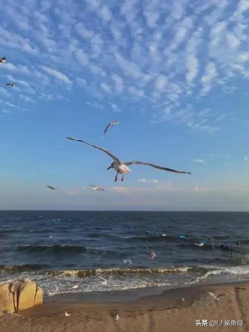 秦皇岛十大必去景点排名,秦皇岛必玩的十大景点排名
