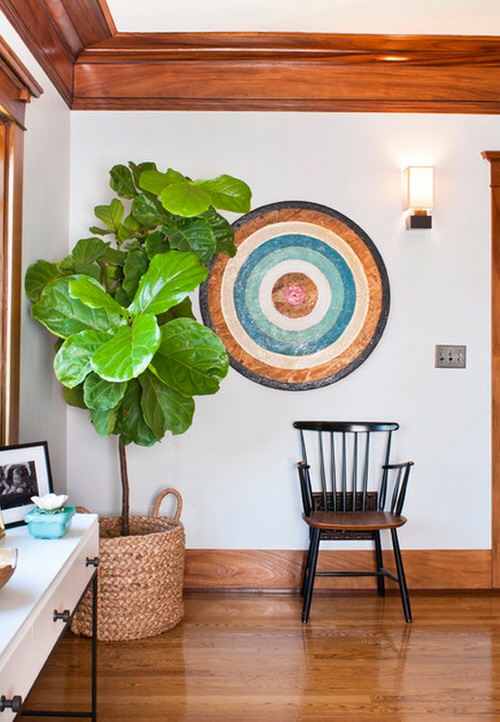 室内植物装饰推荐,室内植物装饰的选材和方法