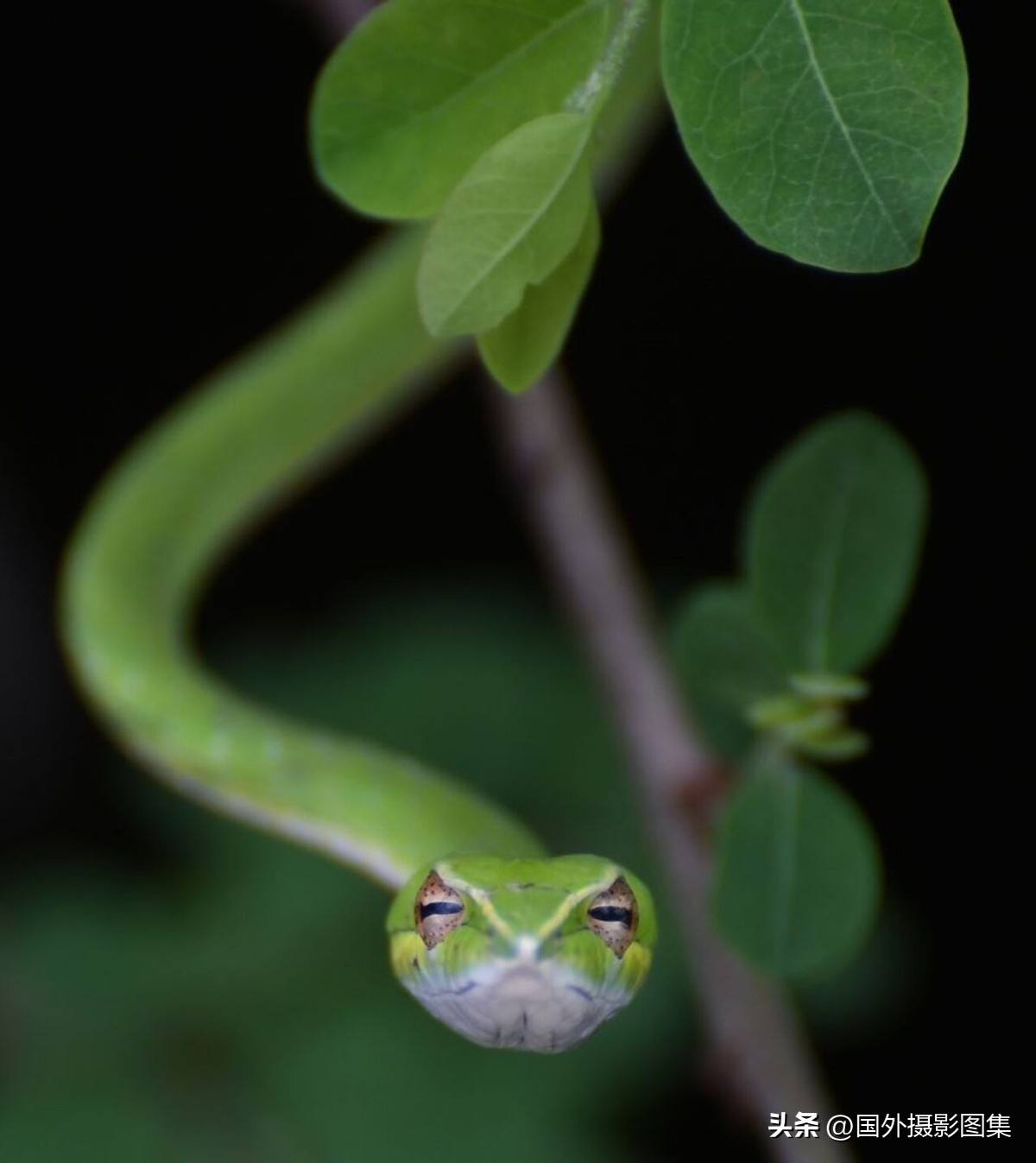 世界顶级唯美人像摄影师,世界顶级自然摄影师作品