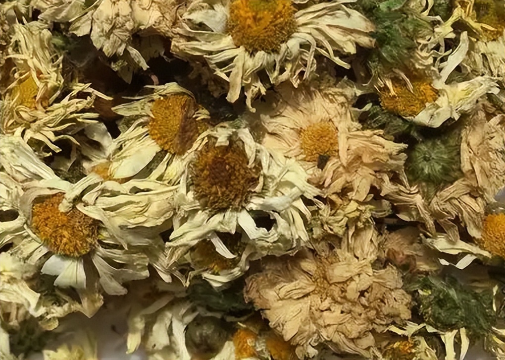 好喝的菊花茶推荐,爱喝茉莉菊花茶