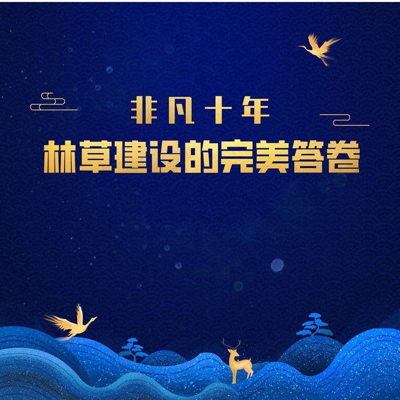 非凡十年林草建设的完美答卷