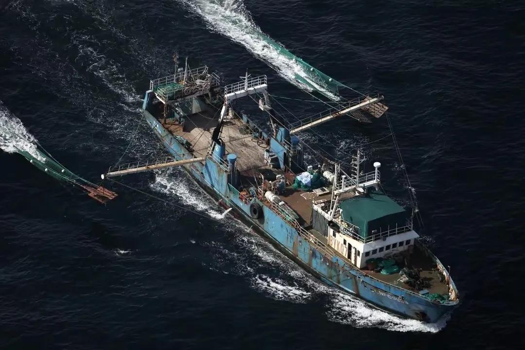 日本群岛附近的世界四大渔场之一,我国四大渔场和四大盐场分布图