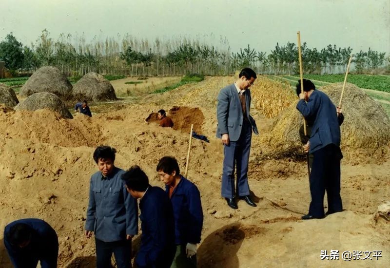 和氏献璧从卞和身上学到什么,卞和为什么一定要献璧