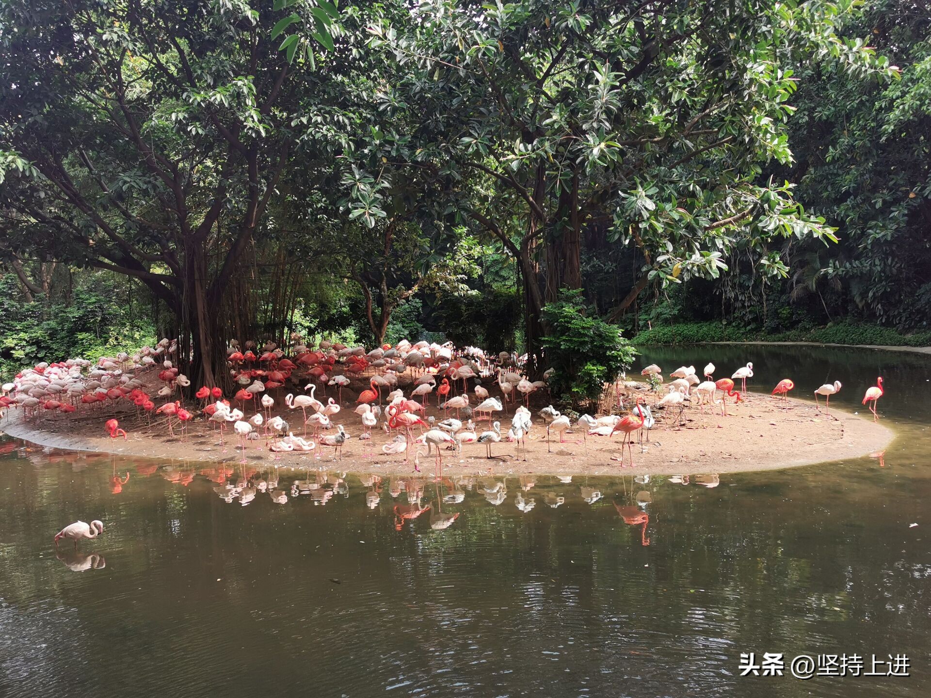 中国十大动物园排行榜,全国十佳动物园有哪些地方