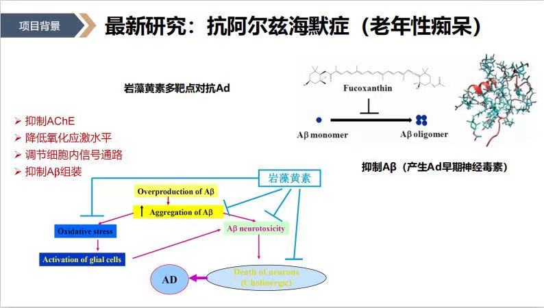 鲜藻机,鲜活净水器是什么原理