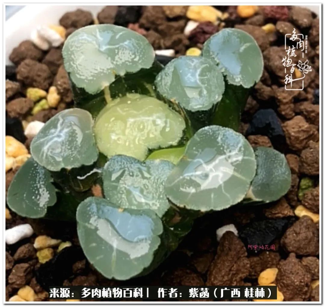 酷暑送清凉关爱入心田,酷暑慰问暖人心