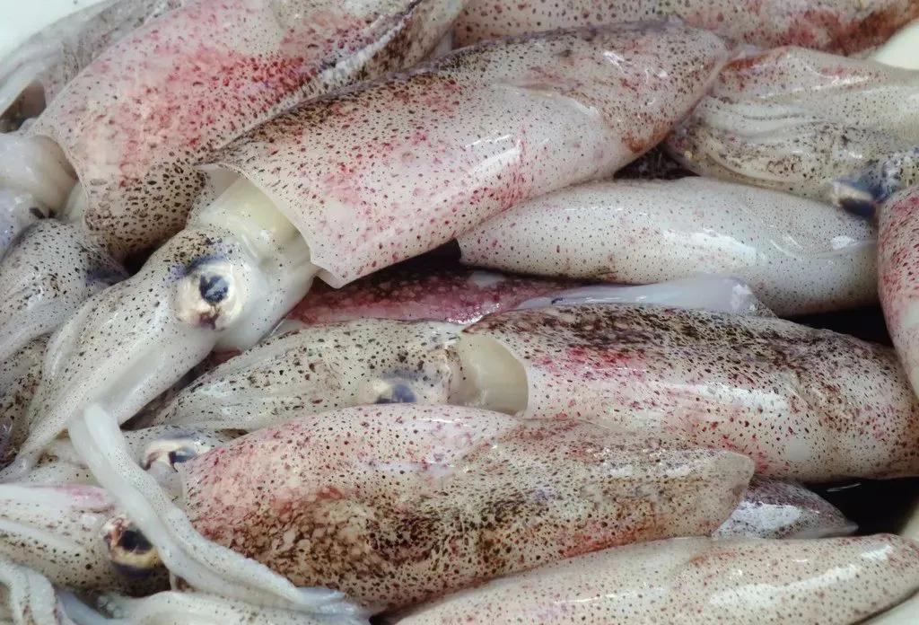 15种海鲜的经典吃法及价格,常见的海鲜正确吃法大全