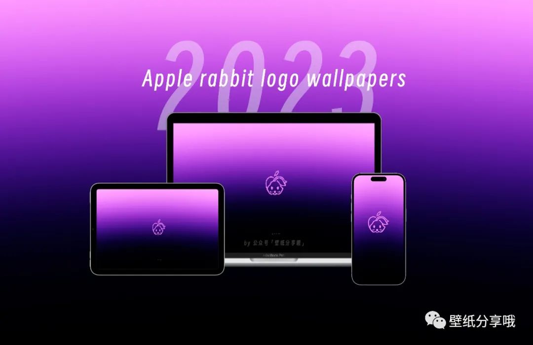 苹果兔年logo壁纸,苹果logo新年壁纸2024