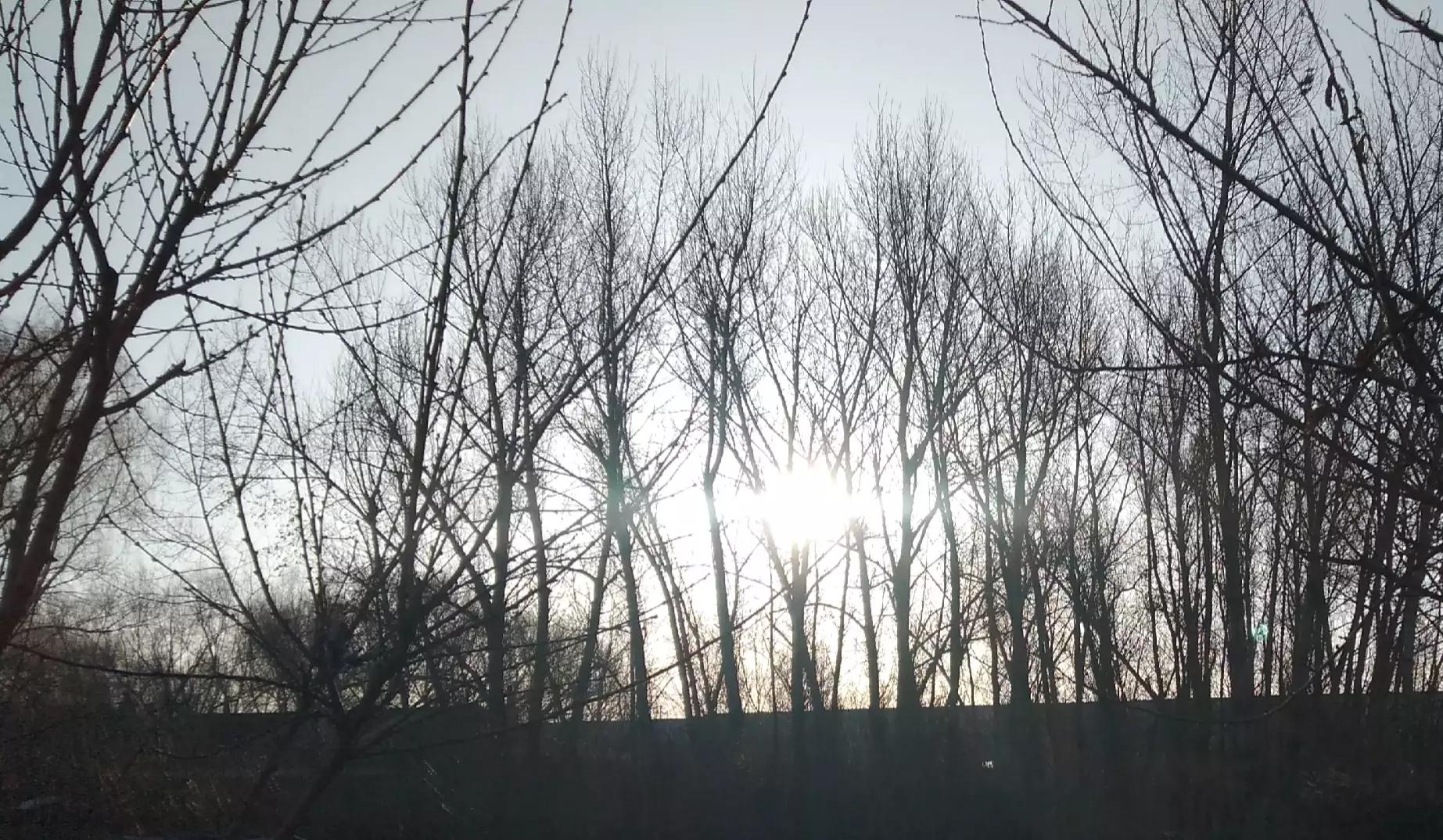 道德经中的鬼神,道德经神鬼不侵