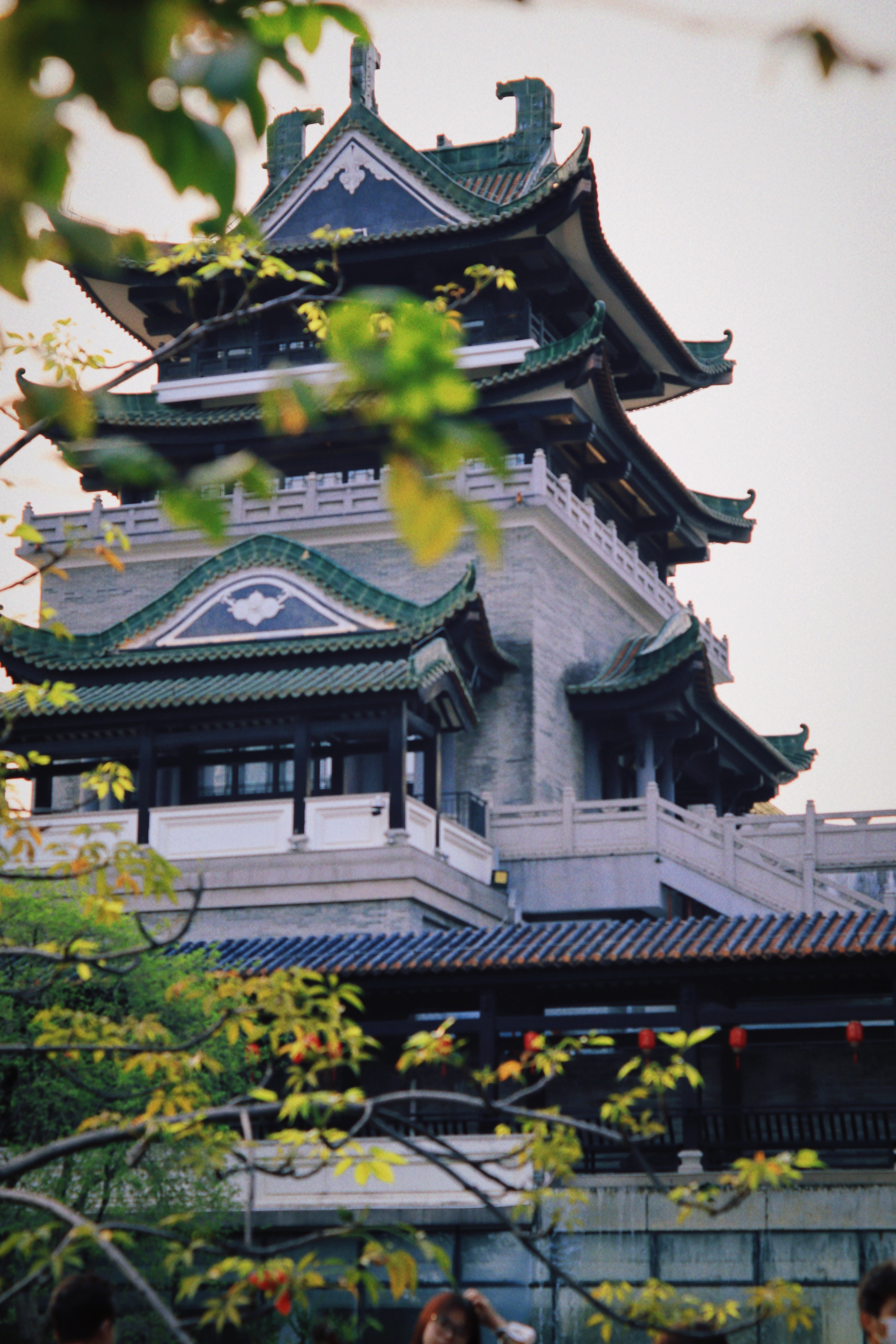 广州旅游指南探索广州的魅力之旅,探秘广州的自然风光