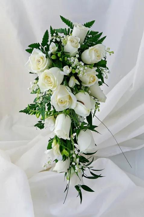 不同颜色的玫瑰花寓意送男生,各种颜色的玫瑰花代表的意思