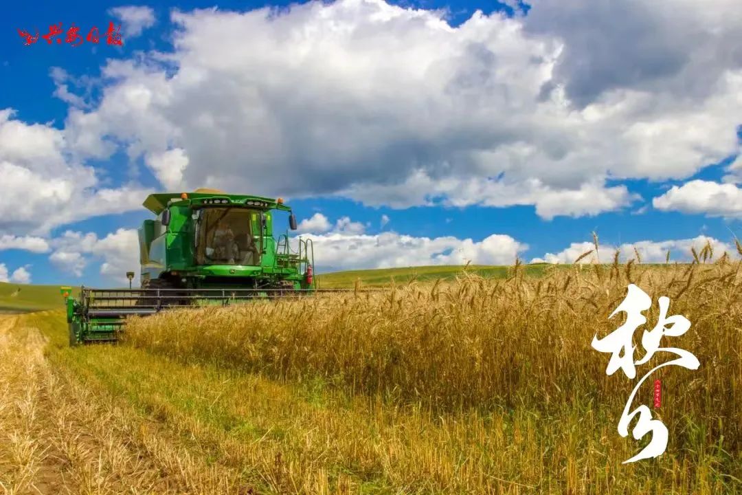 二十四节气之秋分丰收,秋分节气平分秋色