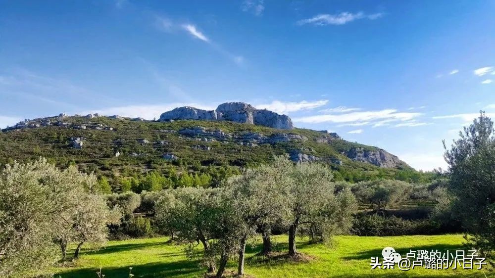 7部让你想走就走的旅行电影,吐血推荐8部关于旅行的电影