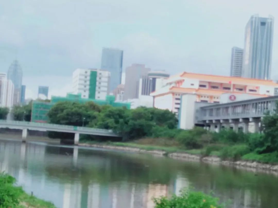 香港跨境学童父母,香港深圳跨境学童记录