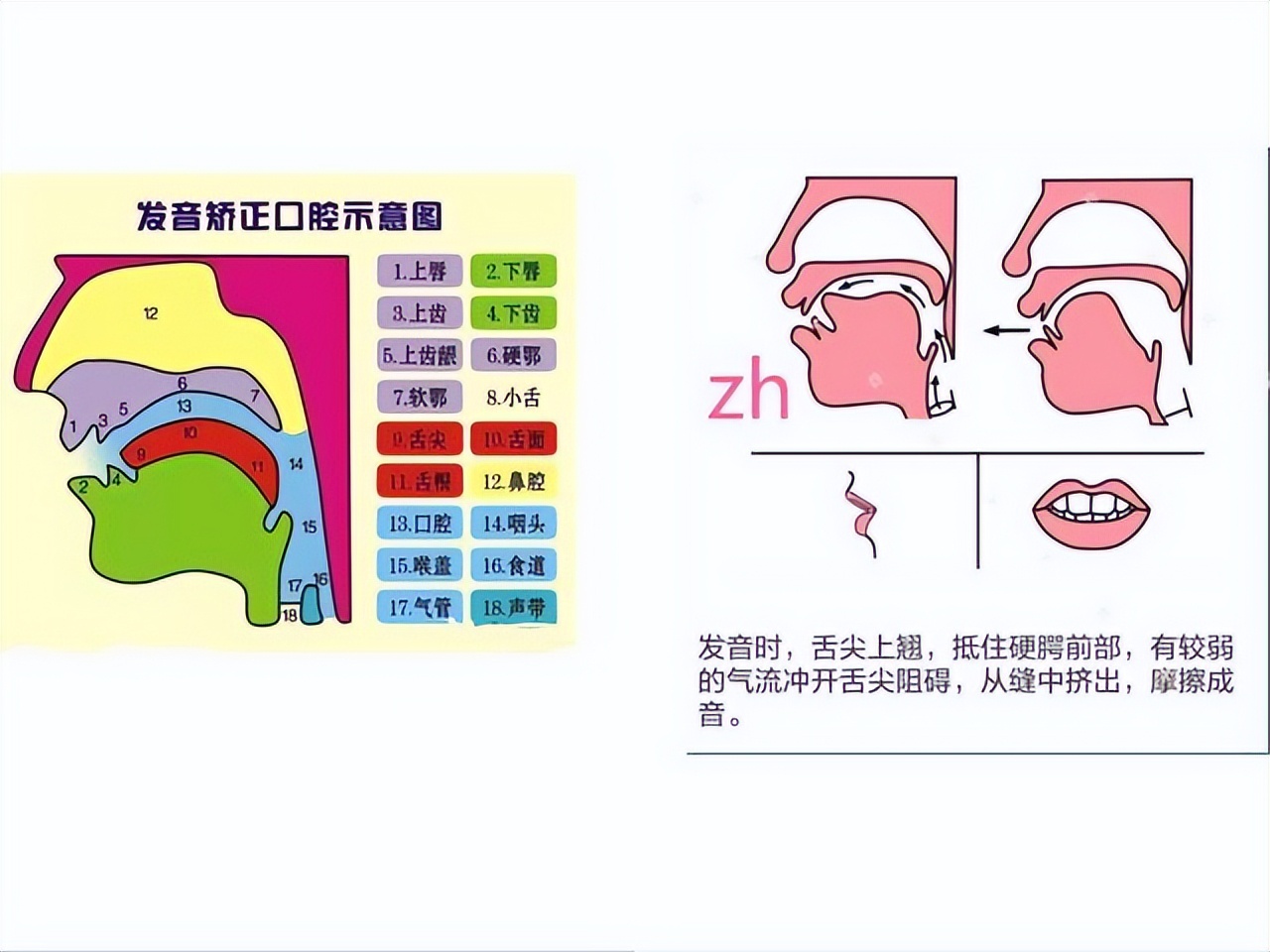 平翘舌音基本功练习,平翘舌音的练习视频