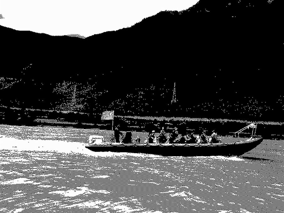 有关爱情的散文,最美的爱情散文精选