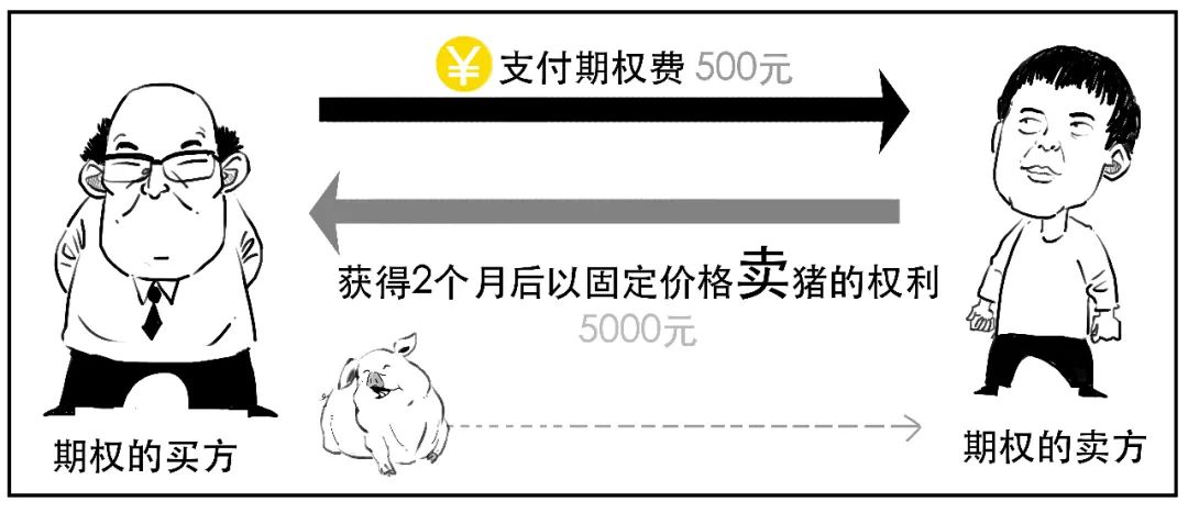 一口气搞懂霍金干了些什么,一口气搞懂到底要交哪些税