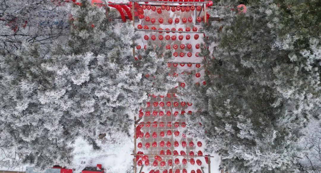 2023泉城新春贺年会来啦!灯会庙会游园会统统都有