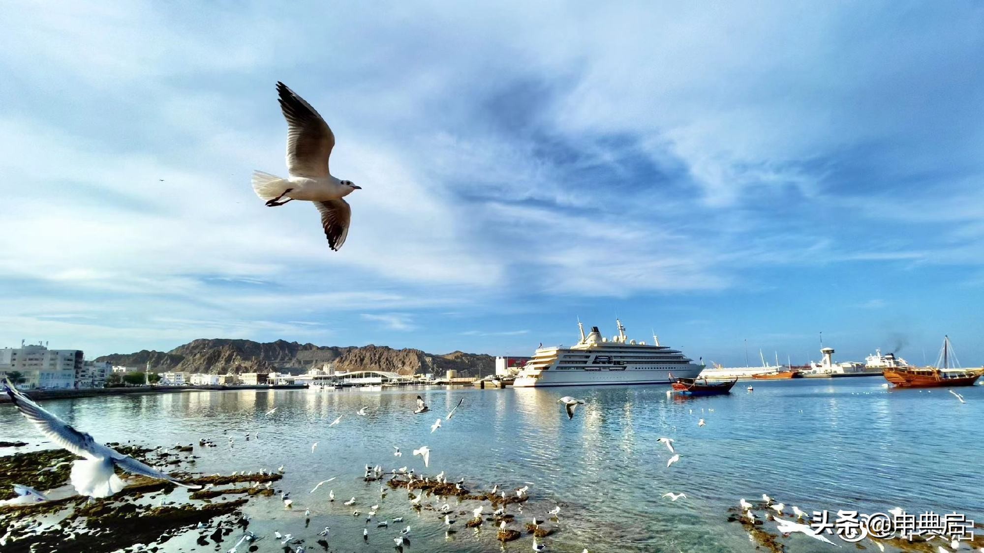 被派驻阿曼的小金：阿曼物资奇缺，连家具都要飞广州买