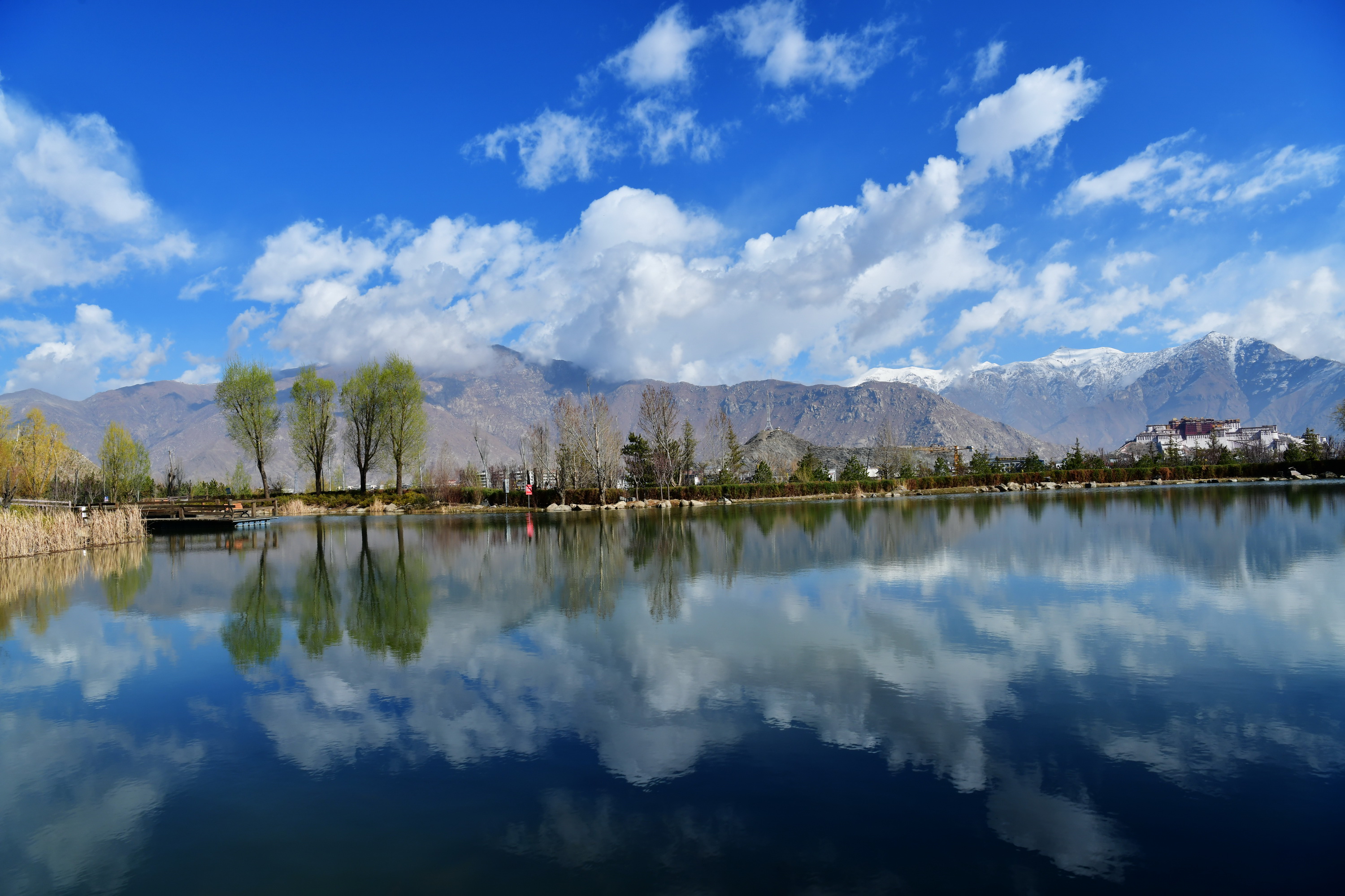我的林芝一日游攻略,林芝看桃花西藏之旅