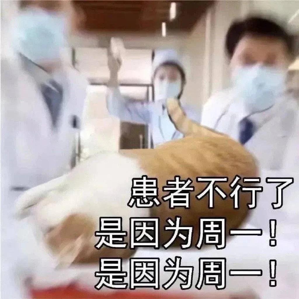 周一早安问候表情包,又到了周一表情包