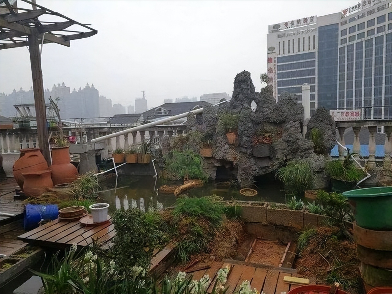 楼顶露台养花夏季怎么养,顶楼露台养花最佳方案