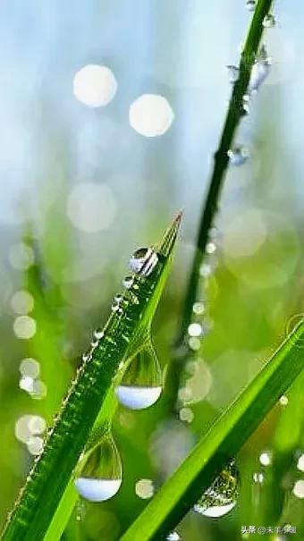 最美的手机壁纸大全,养眼养心的壁纸