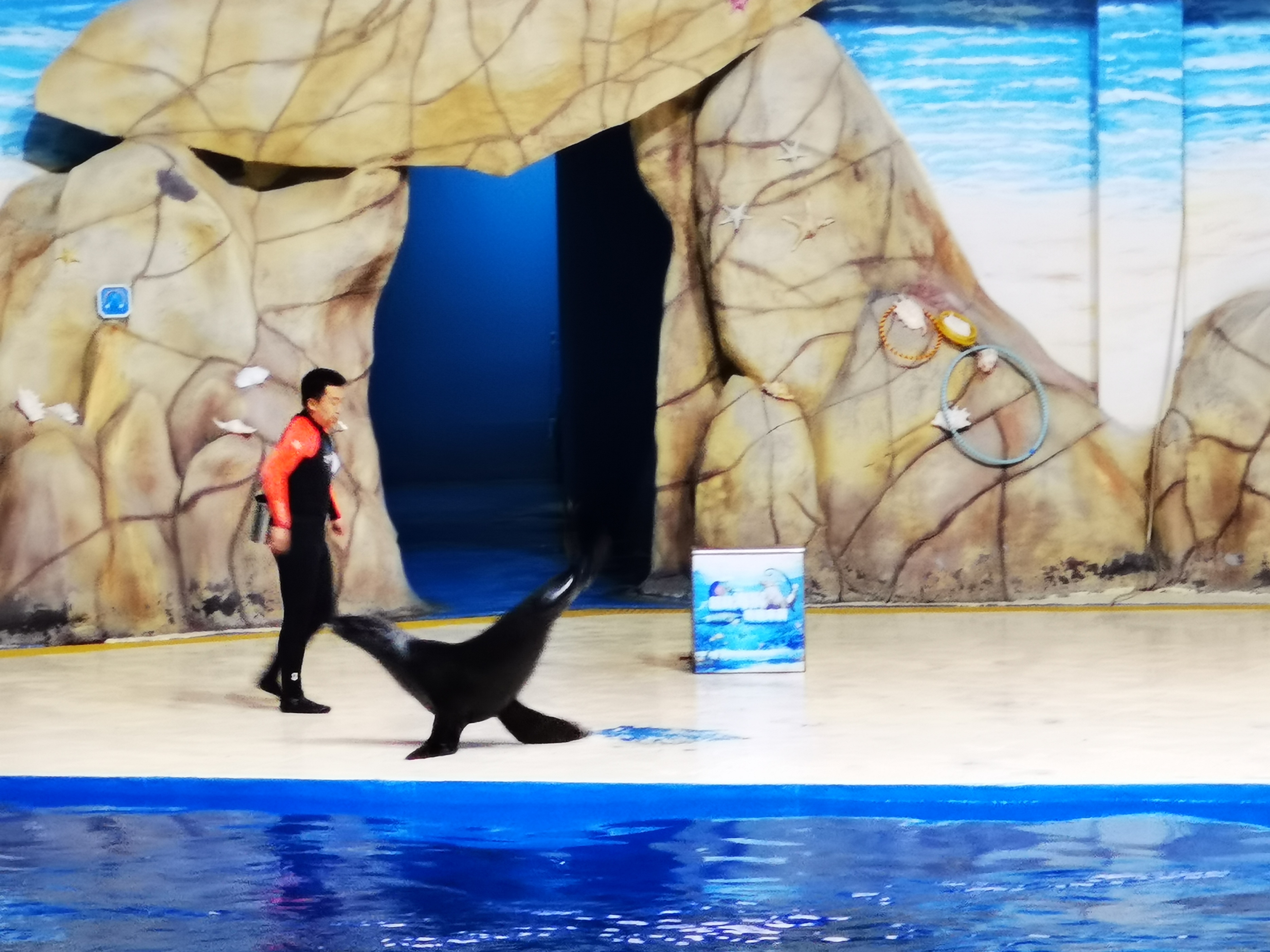 寿光极地海洋游记,五一寿光海洋极地世界