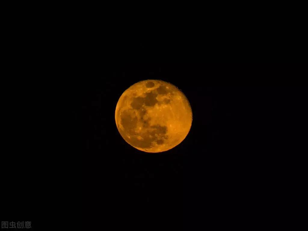 网易云音乐的爱情句子,网易云句子简短伤感爱情