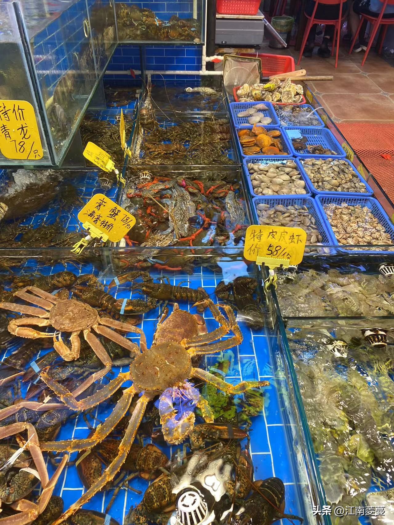 浙江海岛和厦门哪里值得去,为什么那么多人选择去厦门旅游