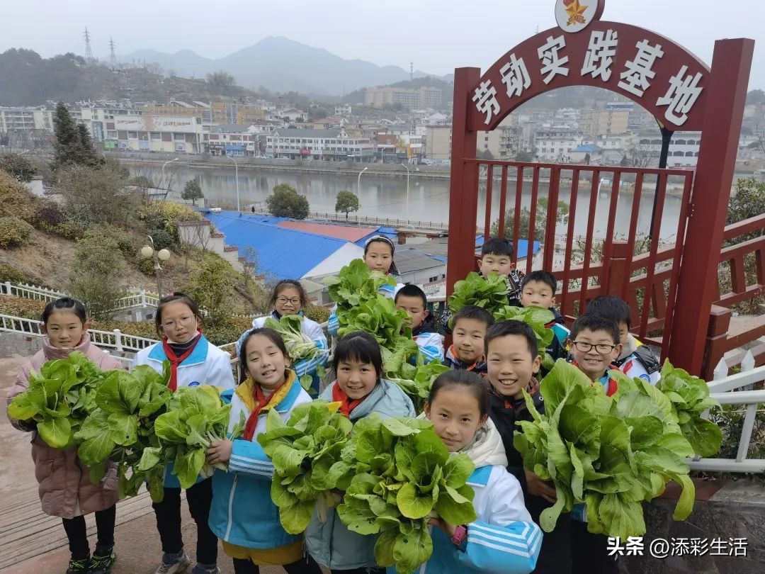 双减政策下学校的变化,安庆市双减政策落实情况