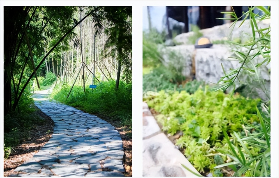 距离成都川西竹海最近的民宿,成都周边山水古村民宿推荐