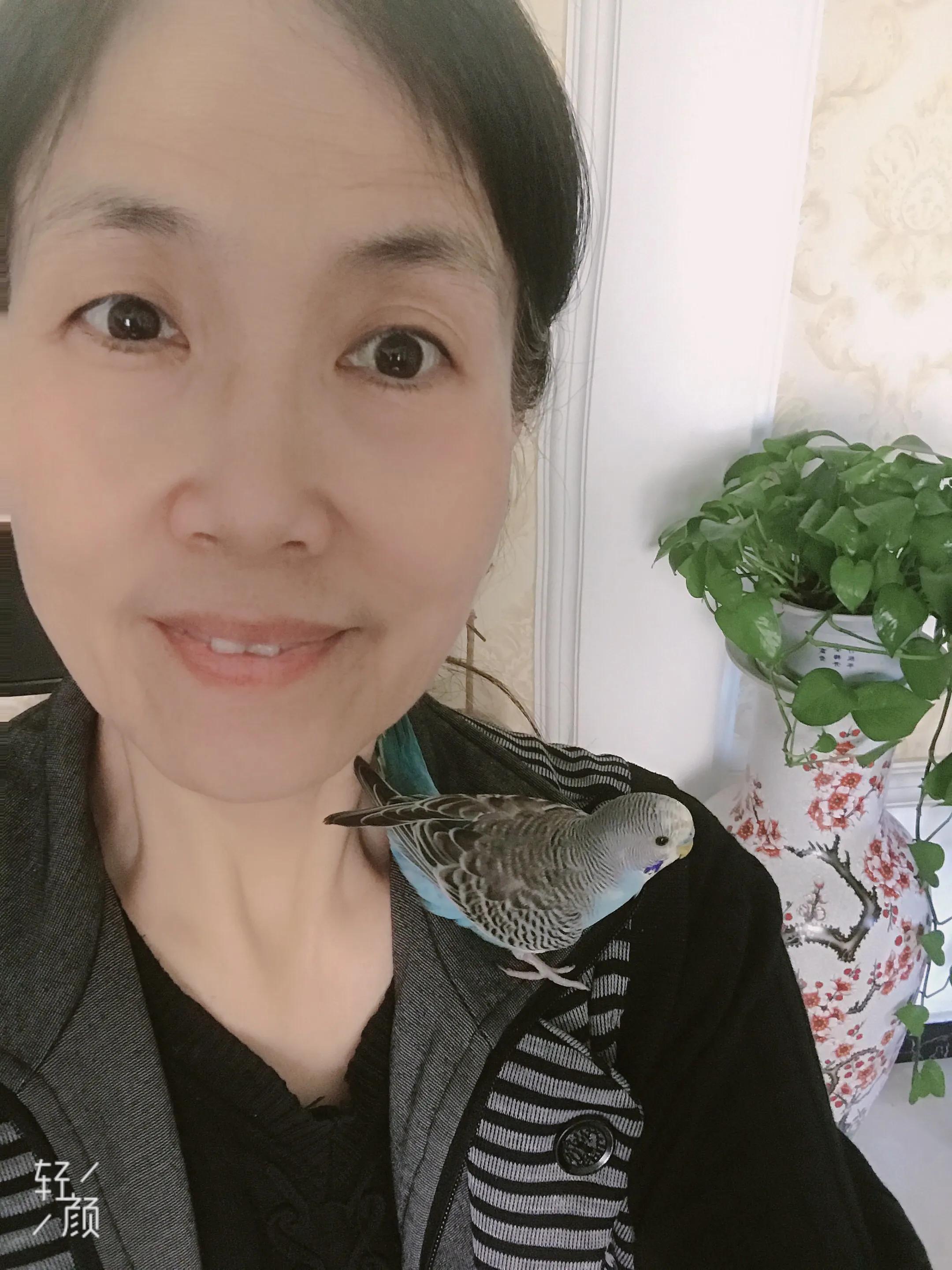 通人性的鹦鹉,通灵性的宠物鸟