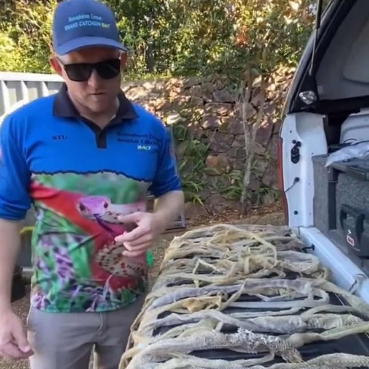 一男子发现蛇窝,挖蛇窝发现30条蛇