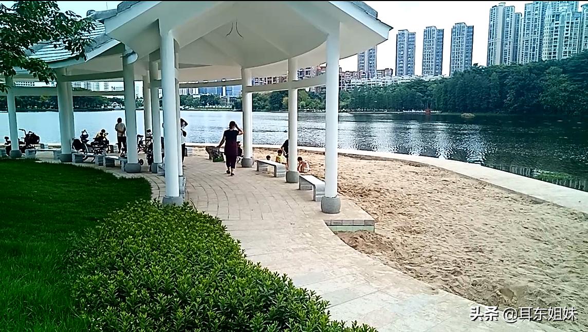 佛山公园里的荷花已悄然绽放,佛山人去旅游