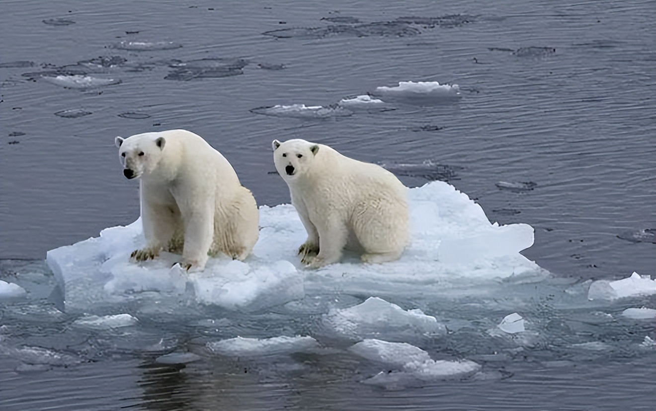 末日时钟会将地球毁灭吗,末日时钟人类会灭亡吗