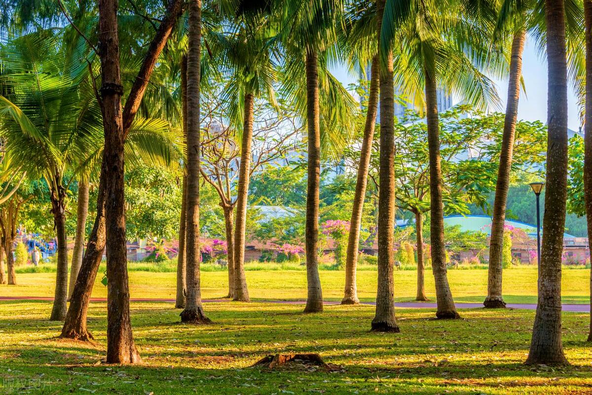 关于夏天的诗词句子和诗意,10首描写夏天的经典古诗词大全