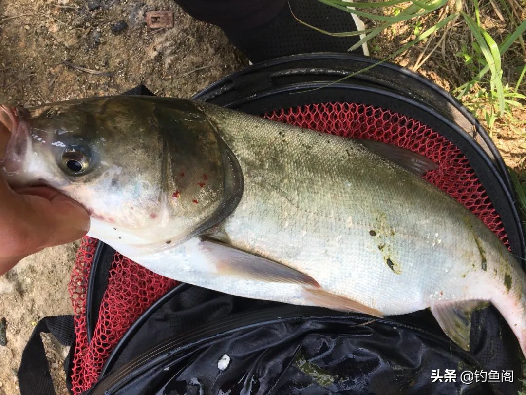 渔具保养视频教程全集,钓具实用知识