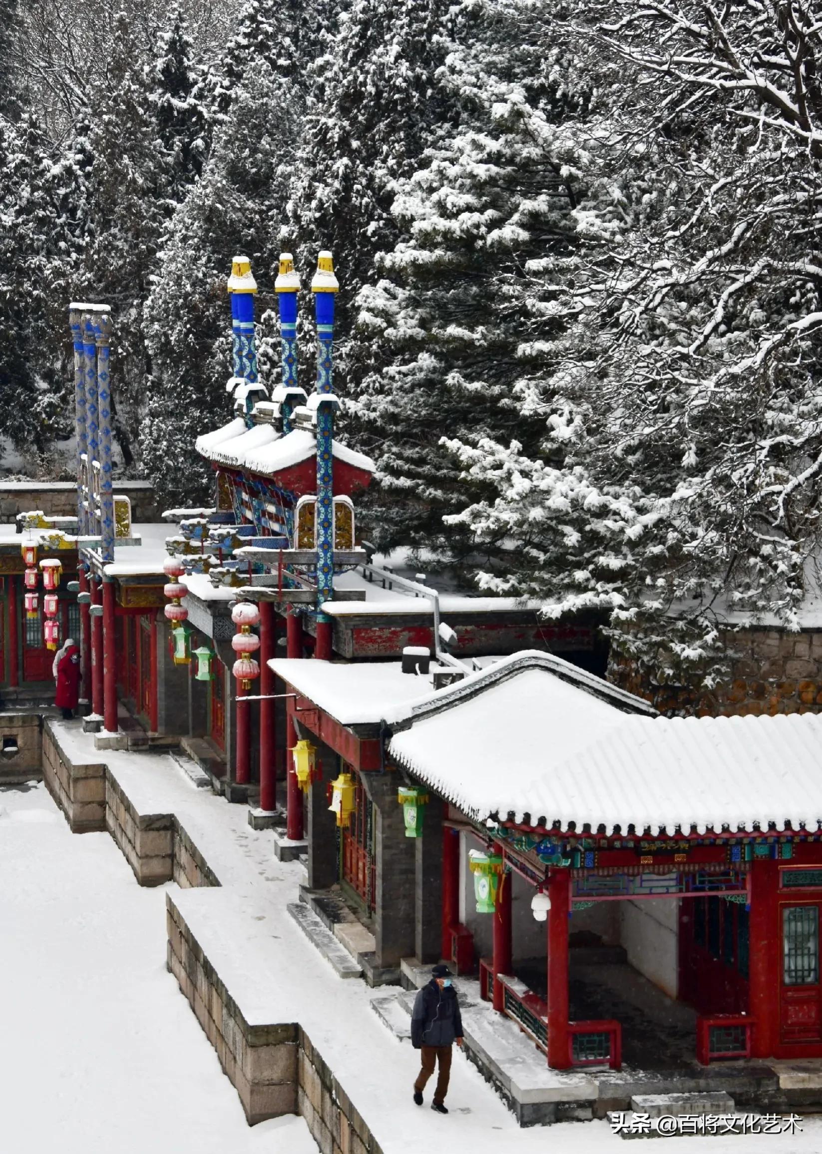 「百将文化」枝横碧玉天然瘦，恋破黄金分外香