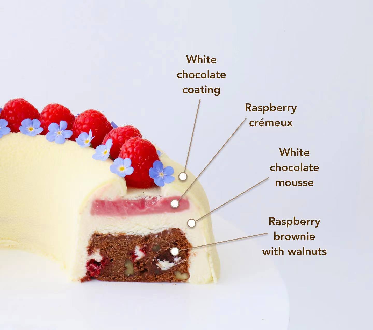 蛋糕切面,蛋糕两层夹心切面图片