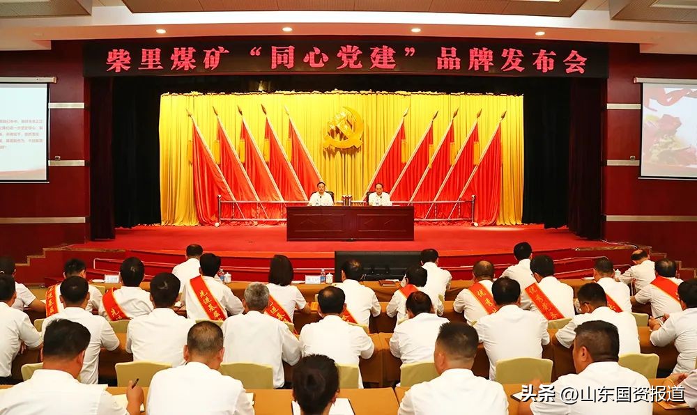 山东鲁信集团和山东能源,山东鲁信能源发展有限公司