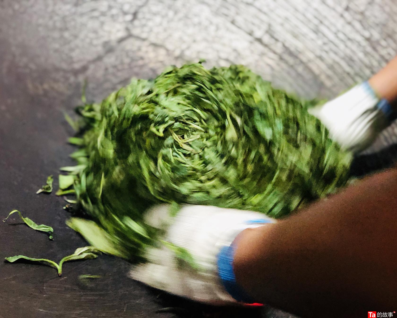 中茶黑茶哪款最好喝,黑茶好还是铁观音茶好