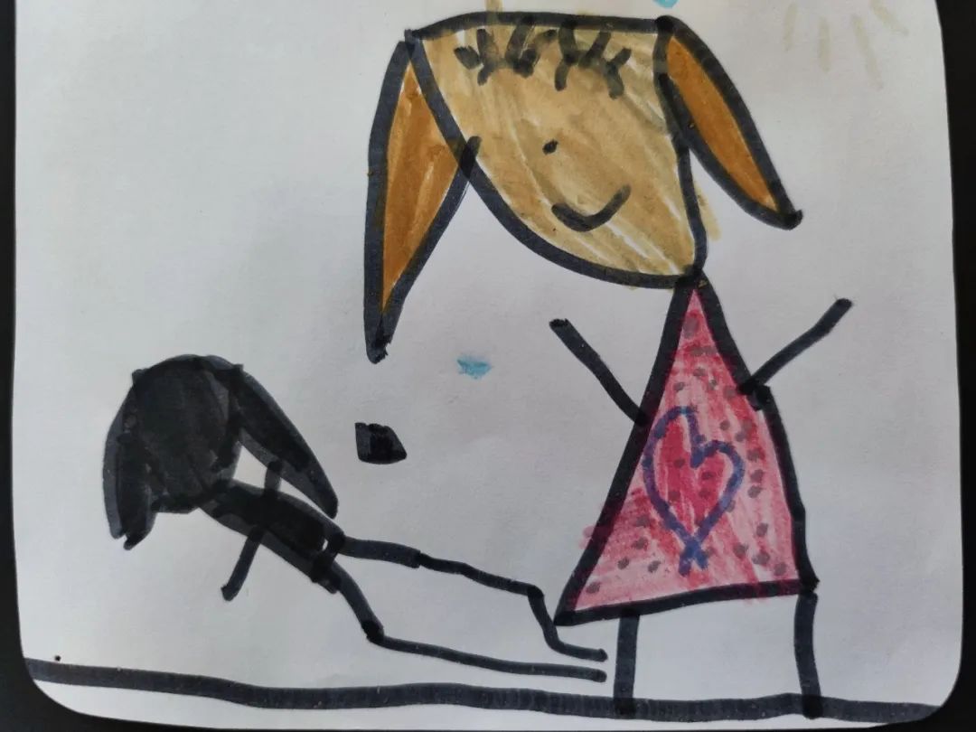 奇妙的影子幼儿,奇妙的影子公开课完整视频