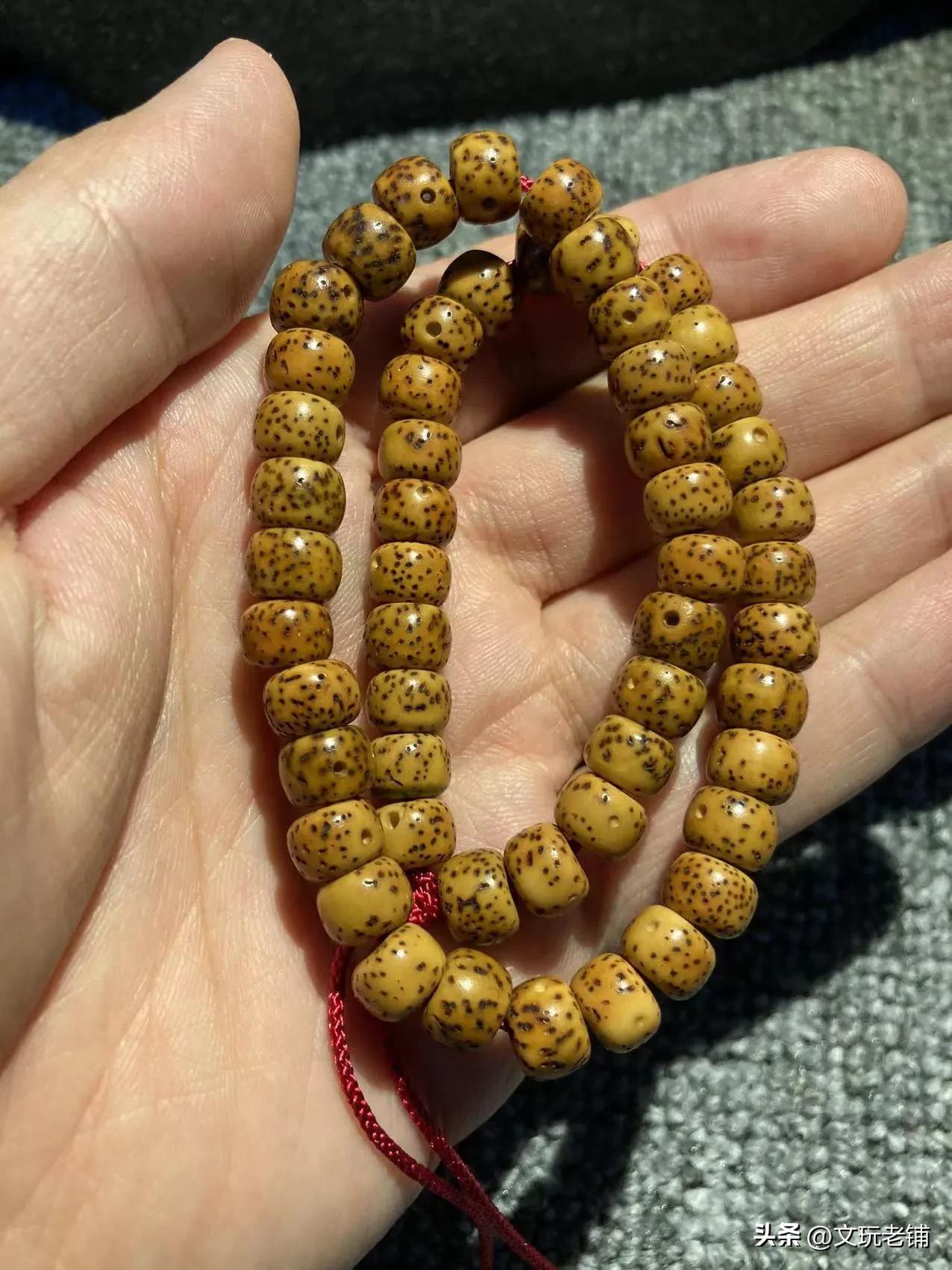 原生态星月菩提和脱脂星月的区别,微脱脂星月菩提和脱脂星月菩提